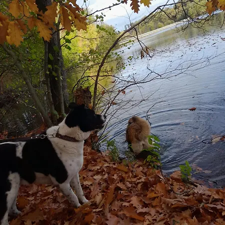 Altes Zollhaus Der Burg Hachen *