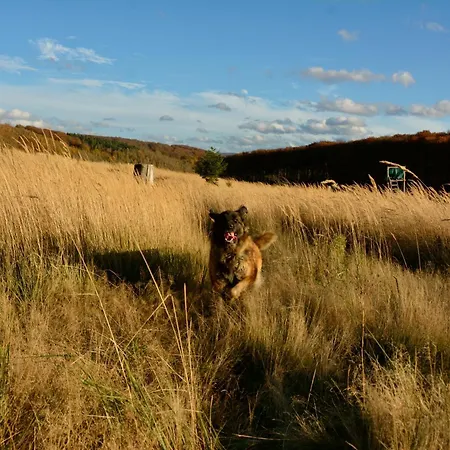 Altes Zollhaus Der Burg Hachen Holiday home