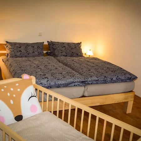 Altes Zollhaus Der Burg Hachen Holiday home *