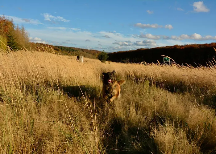 Altes Zollhaus Der Burg Hachen Feriehus