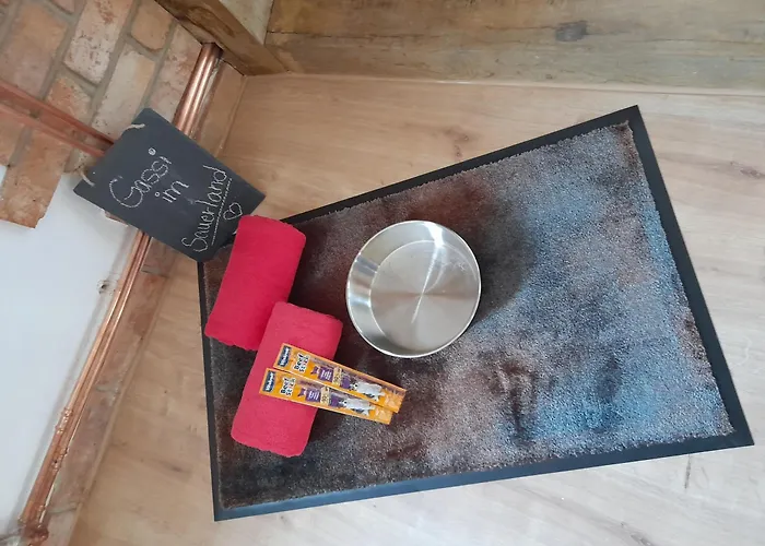 Altes Zollhaus Der Burg Hachen